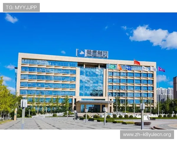 凯发集团网页版登录入口稳定性分析及优化建议全面解析 凯发集团网页版登录入口稳定性分析及优化建议全面解析
